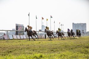 Expert Best Odds for Horse Racing: Pro Tips to Win in India (2027)