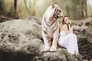 Latest Best Live Dragon Tiger Online Review 2026: Bonus, App, Withdrawal Tested